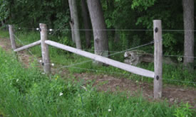 electric fence