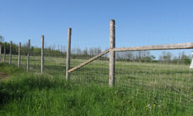 wildlife fencing